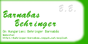 barnabas behringer business card